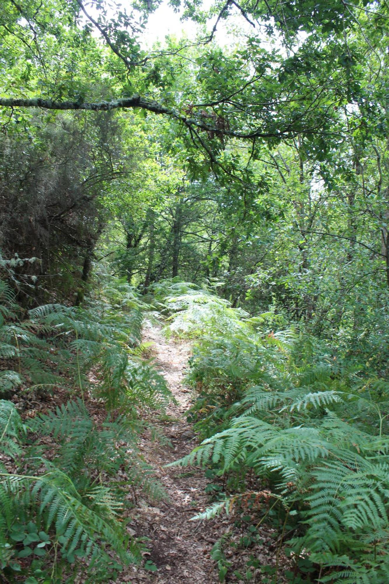 Aldea Rural Santo Andre Konuk evi Congostro Dış mekan fotoğraf